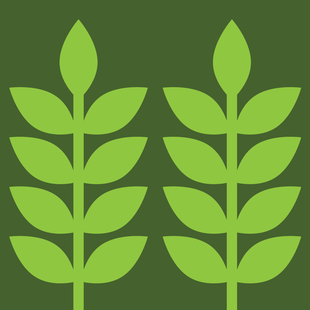 plant stalks