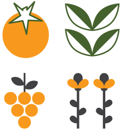 four crops illustration